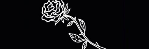 lauramuto_'s profile banner image
