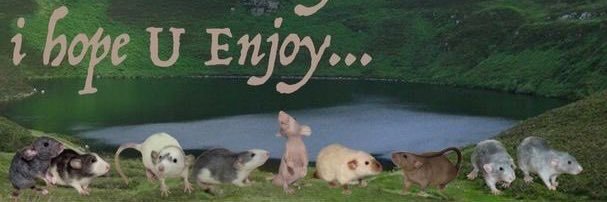 ᴀsʜᴛʏɴ ‎⁎⁺˳✧༚ banner