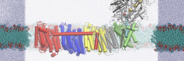 TheKailaLab Profile Banner