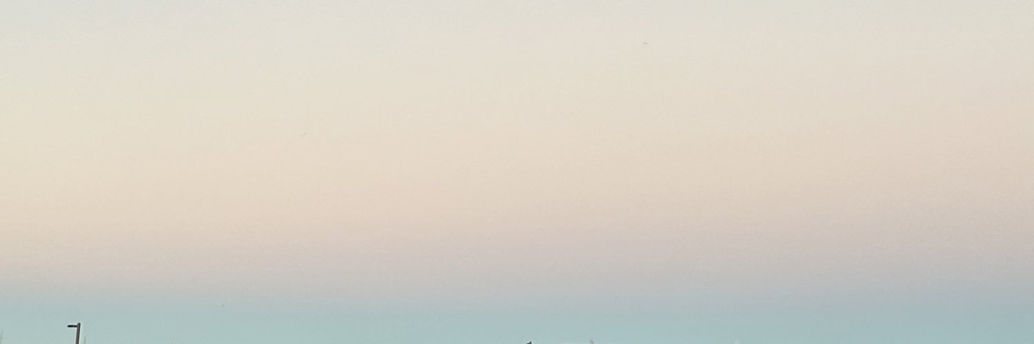 janainicholee's profile banner image