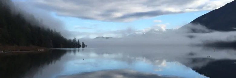 pelsh0w's profile banner image