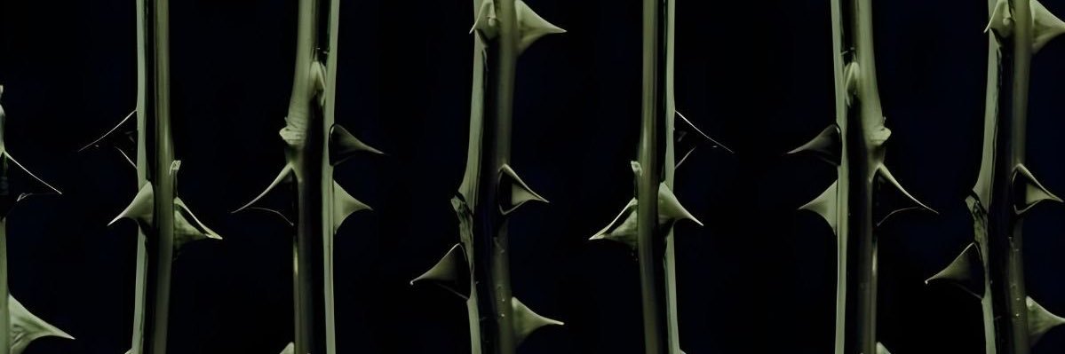 эля. ① рест banner