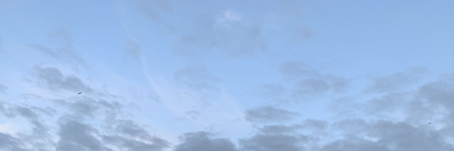 rhgravell's profile banner image