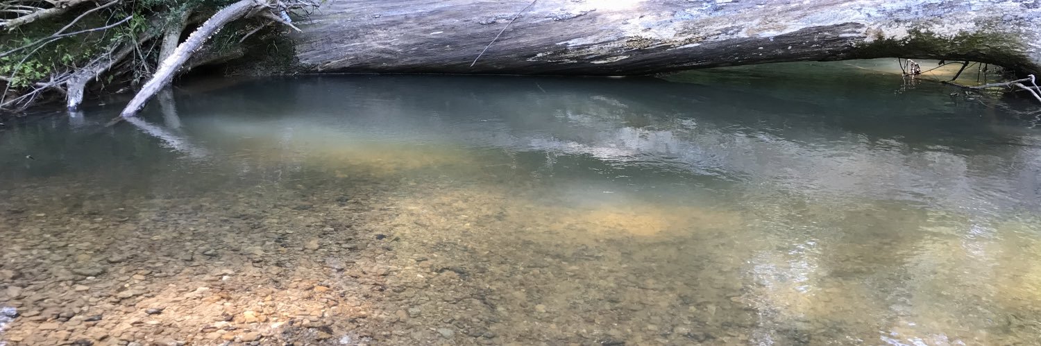 andrew douglas banner