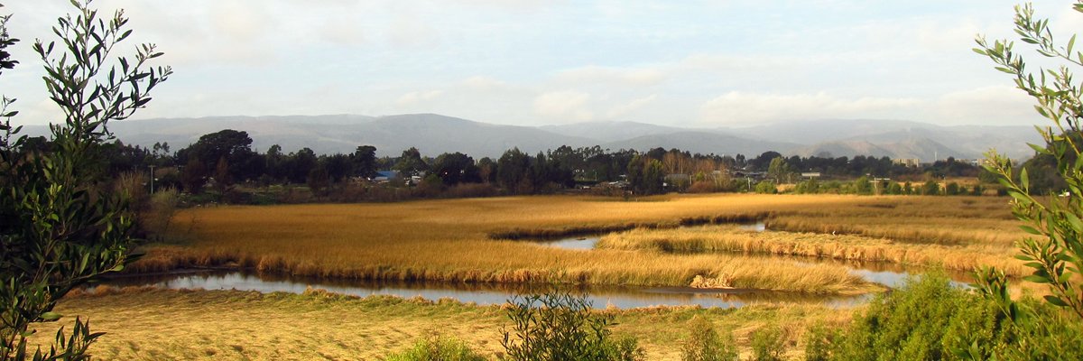 Leonardo Lira Astudillo banner