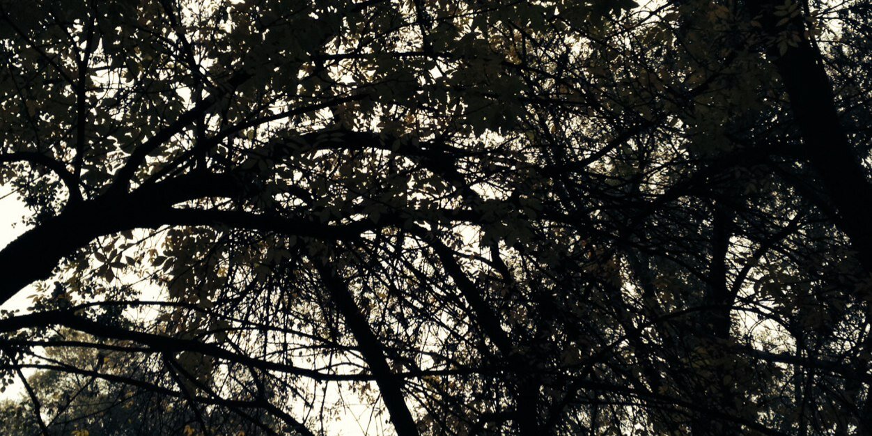 rubible's profile banner image