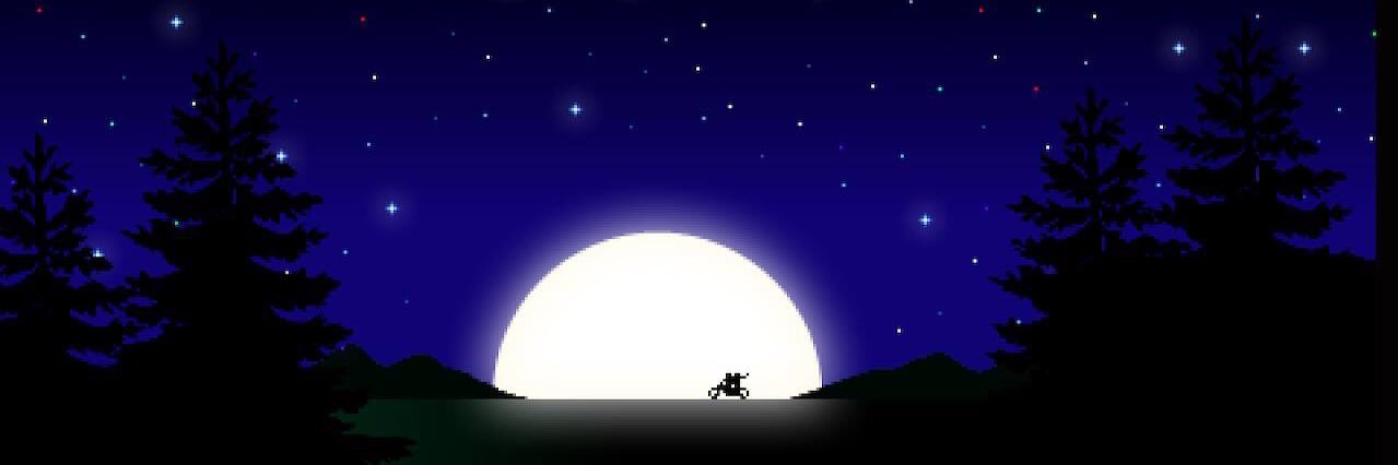 irleliza's profile banner image