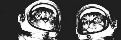 zeftorias's profile banner image