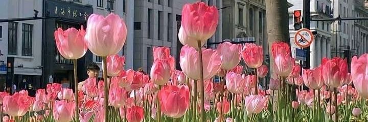 gel, CHRA'25 fRPm'26 🪽🧡 banner