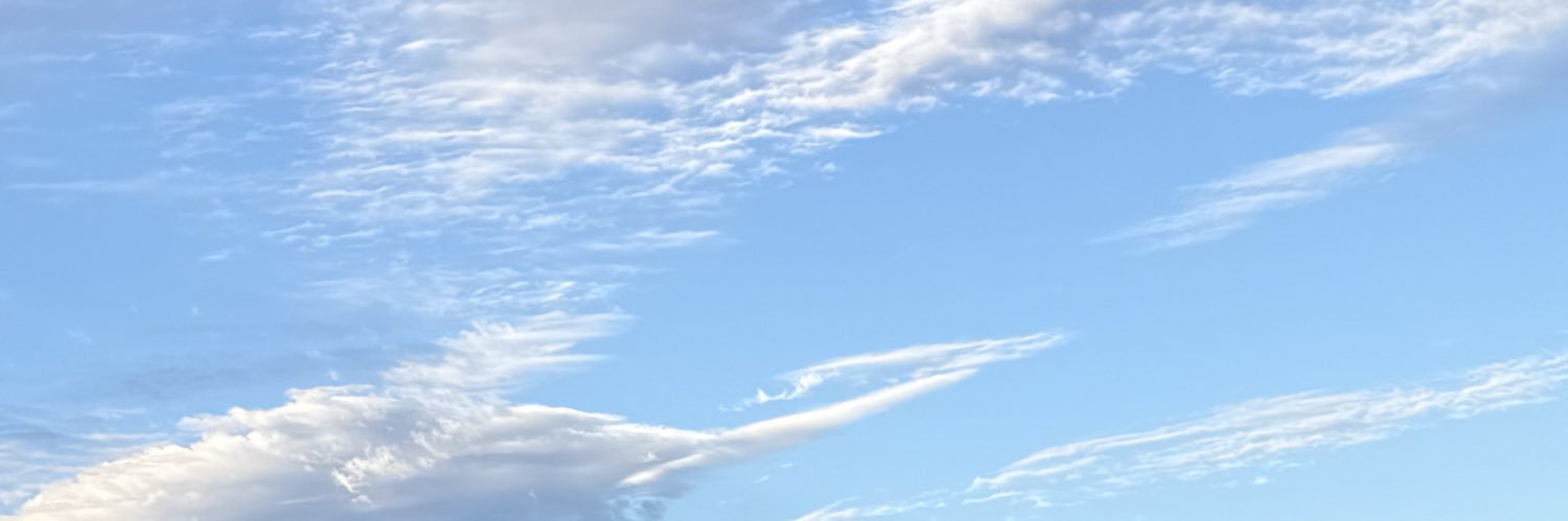 YT42847007's profile banner image