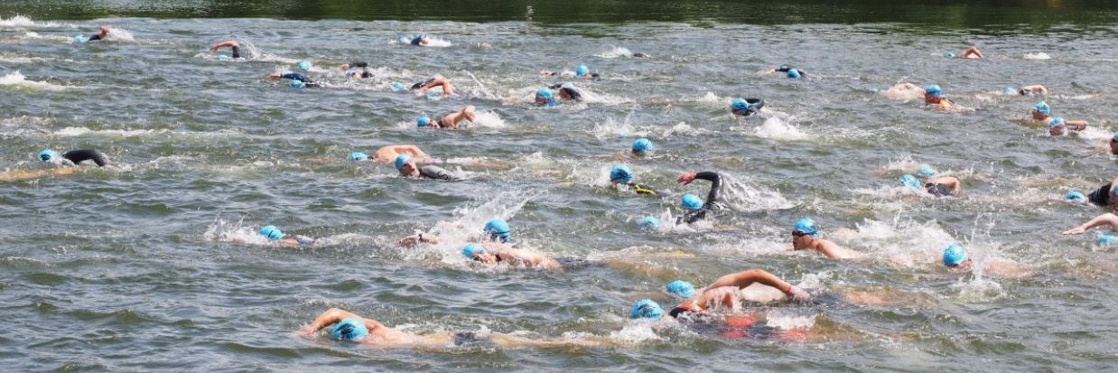 Swimming & Data banner