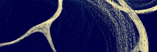 iram_tal Profile Banner