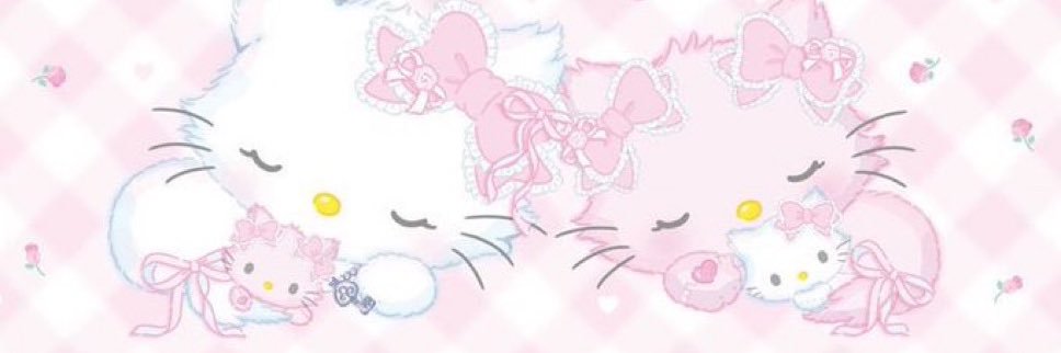 ˗ˋˏ♡ˎˊ˗ banner