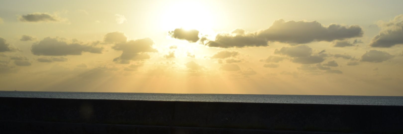 calvinrigar's profile banner image