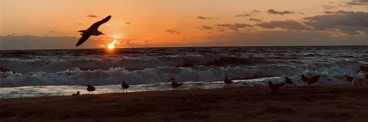 amberlagasse's profile banner image