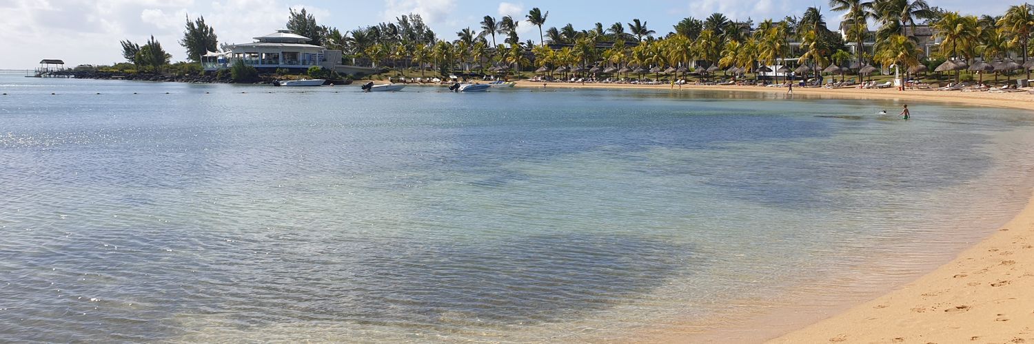 CheckAllChecks banner