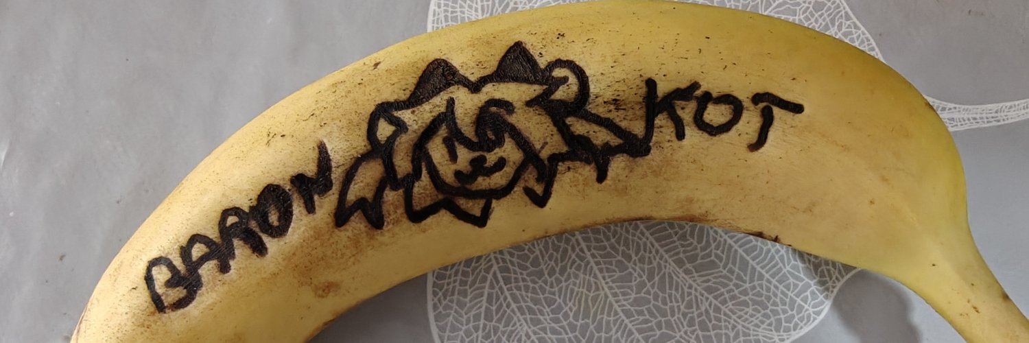 baron_kot's profile banner image
