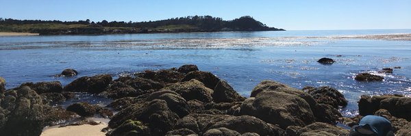 tom_tommmm Profile Banner