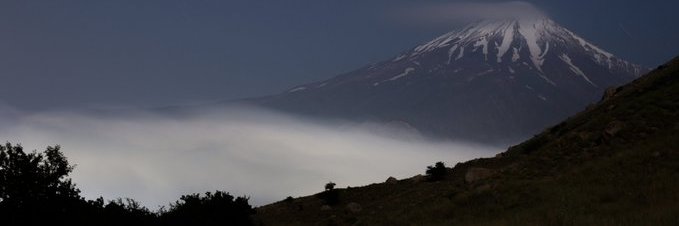 ali mp 🏴🏴🏴🏴 banner