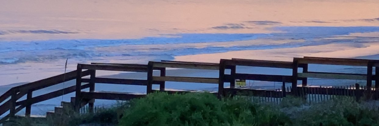 michelemick's profile banner image