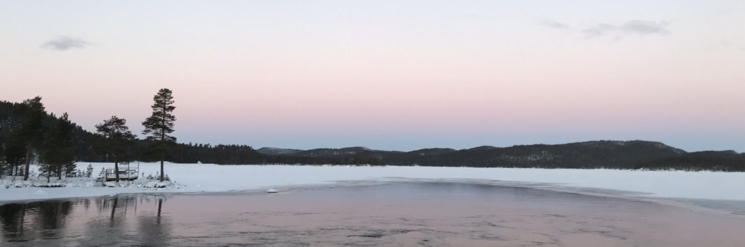 keninceman's profile banner image