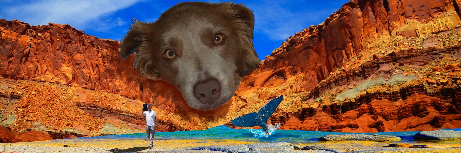 KendaSwartz's profile banner image