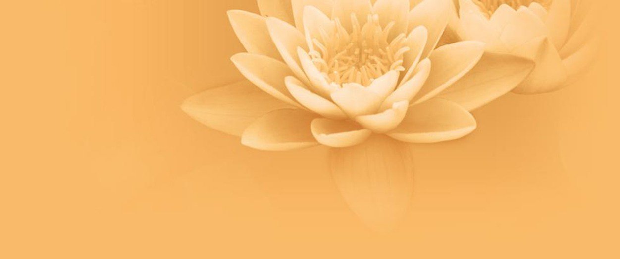 Iamlanatural's profile banner image