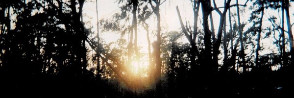 nyokashoje Profile Banner