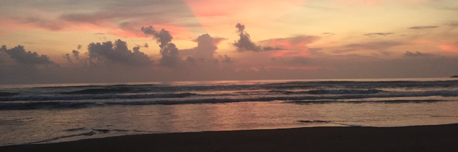 apaulinav4's profile banner image