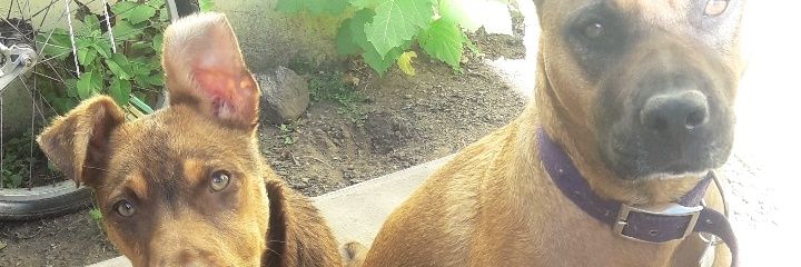 CSantacapita's profile banner image