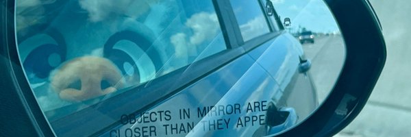 GraySundayFolf Profile Banner