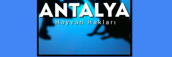AntalyaHayvan Profile Banner