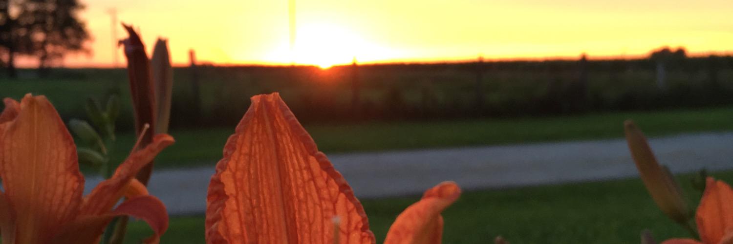 RachelB_6's profile banner image