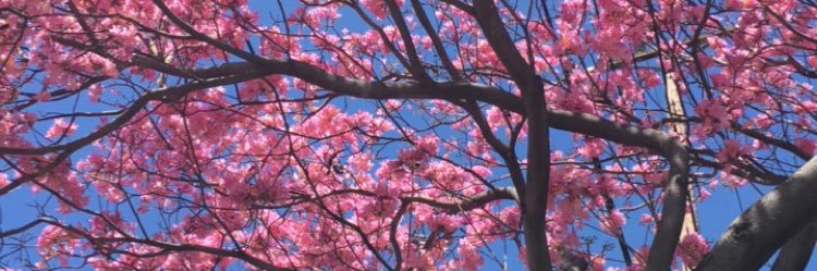 baybayj19's profile banner image