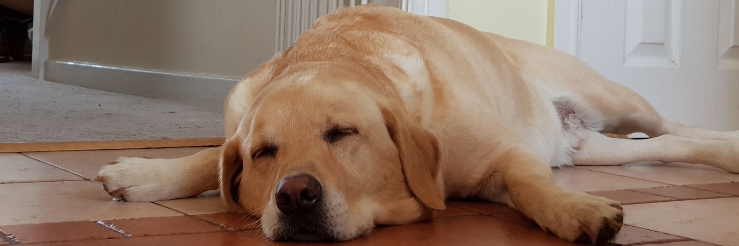 ChrisHallGolf's profile banner image