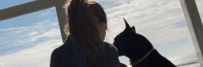 irispeset_r's profile banner image