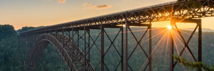 Lance Lindauer banner