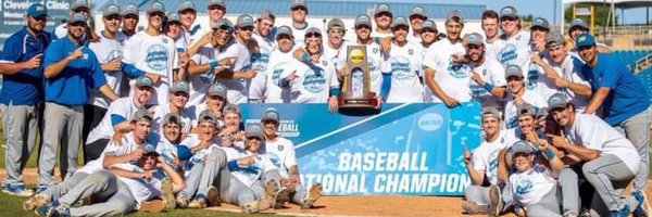 HomzaSteve Profile Banner