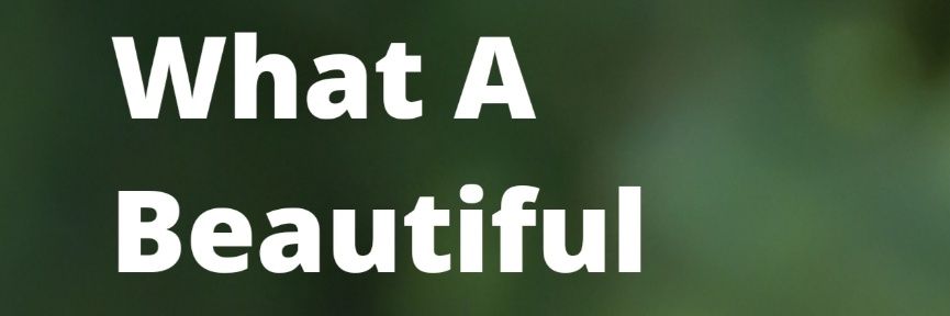 De_Liciouss's profile banner image
