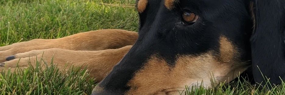 coskumert's profile banner image