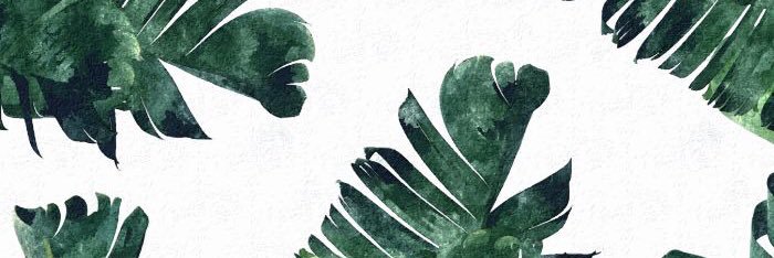 thatdopehope's profile banner image