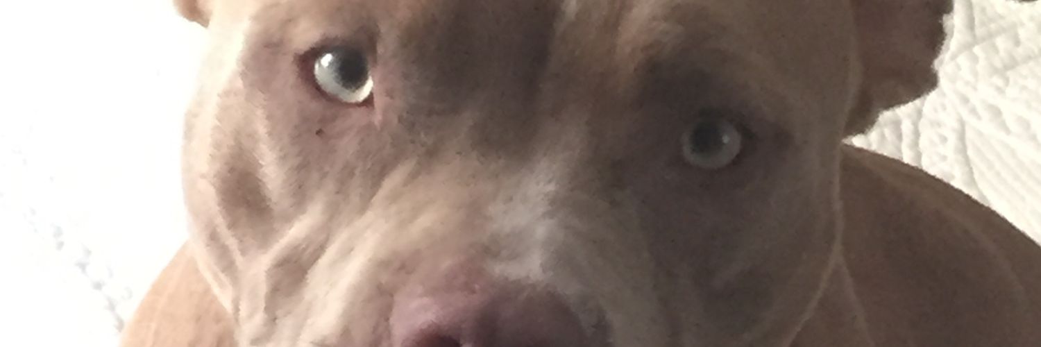 Jim Boneberg banner