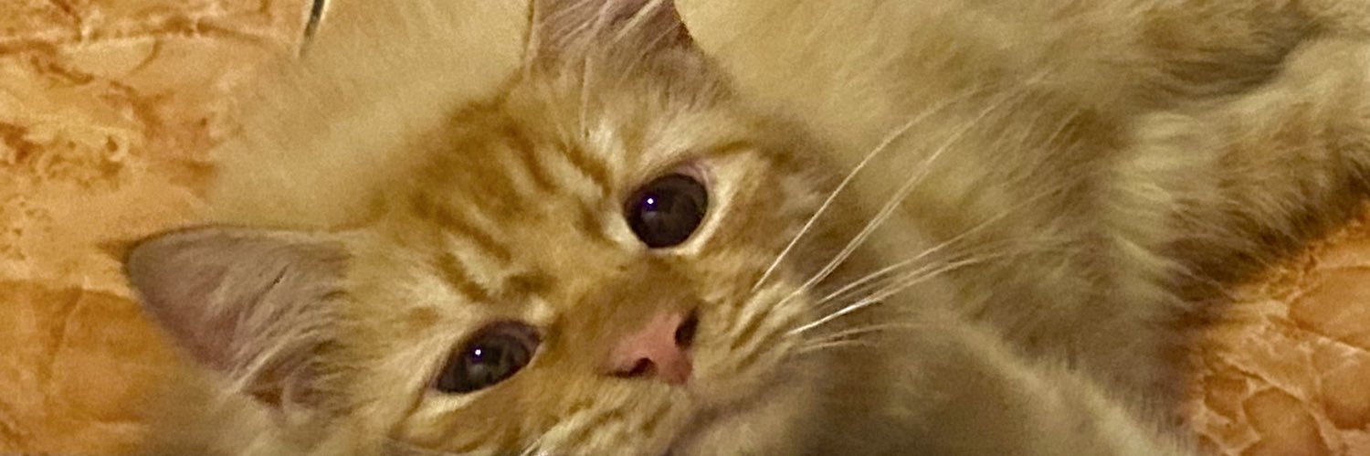 talkaboutsittt's profile banner image