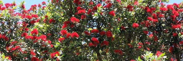 varinaf Profile Banner