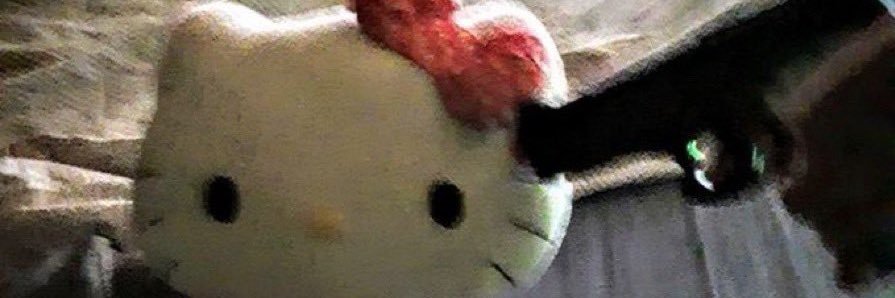 Willa Fitzgerald banner