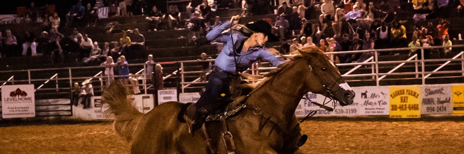 buggbeeler's profile banner image