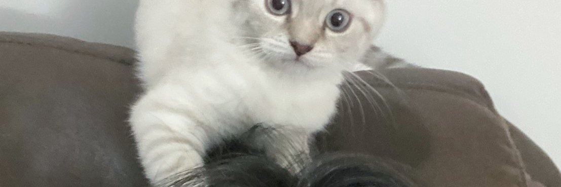 พี่ท้อ🍑🤟🏻-𝙧𝙚𝙨𝙩- banner