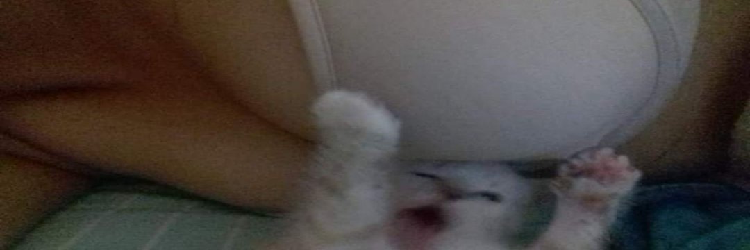 ᵃⁿᵈʳᵉᵃ banner