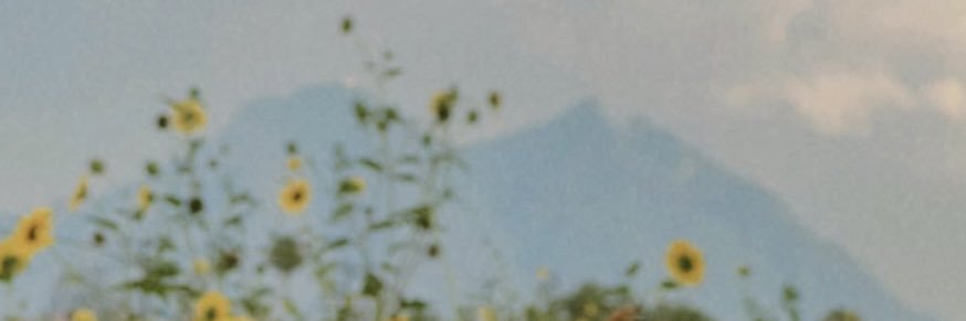 edd_meredith's profile banner image