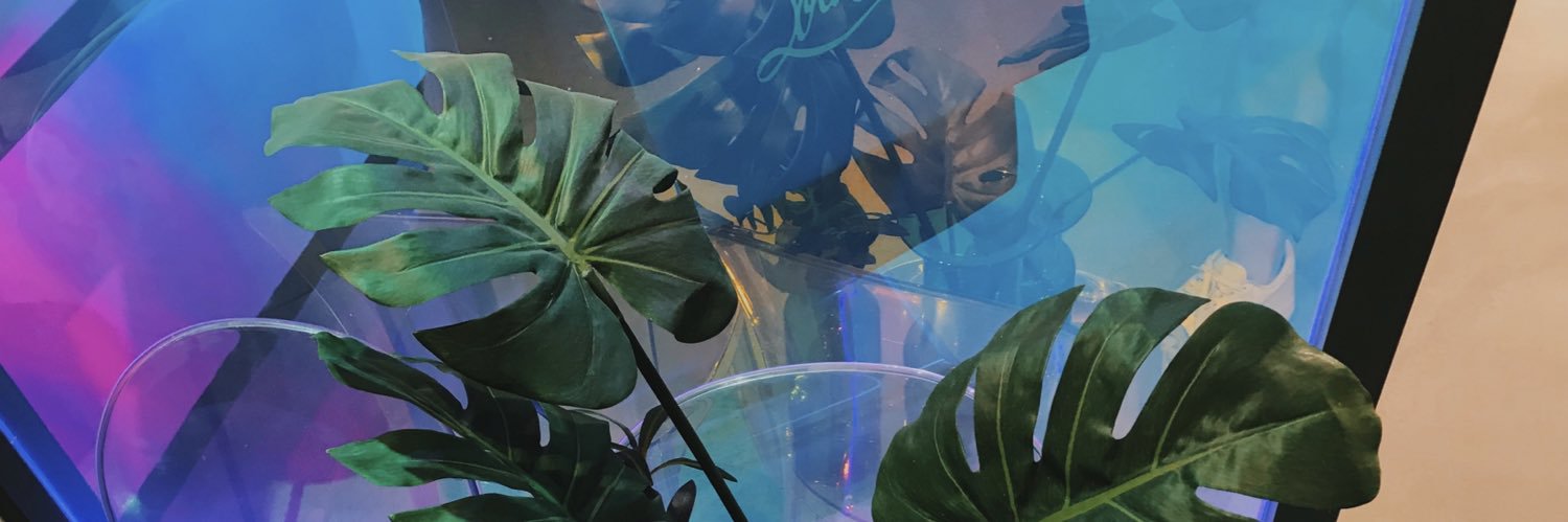 bebeshamming's profile banner image